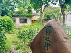 -绍兴鲁迅故里·沈园景区