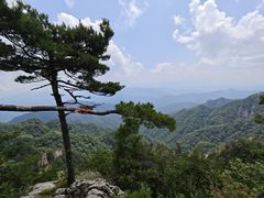 -王顺山国家森林公园