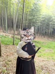 -莫奈庄园·儿童摄影馆·影视基地(江宁店)