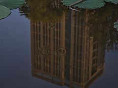 -沐仙湖湿地公园