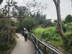 -南丫岛