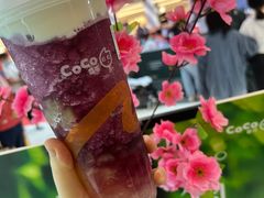 -CoCo都可(大石万民城店)
