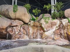 -上海海洋水族馆