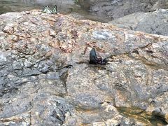 -安吉龙王山峡谷漂流