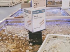 -盒马X会员店(上海森兰商都店)