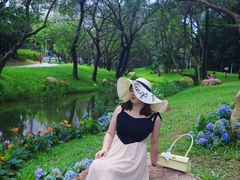 -人民公园(罗湖区)