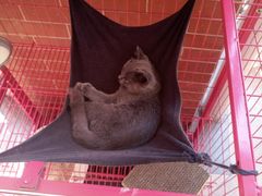 -第三空间·趣味桌游·轰趴.室内CS.剧本杀(大武汉1911店)