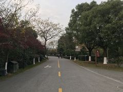 -白马涧龙池景区