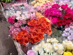 -循礼门鲜花花市(武汉循礼门店)