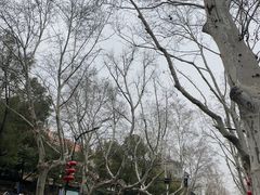 -九华山公园