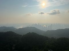 -大金鹰园