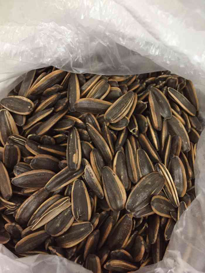 瑞峰张瓜子(朝阳路店)-"[环境]在北碚朝阳路附近,就是以前北碚老.