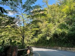 -西双版纳原始森林公园