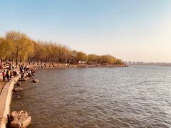 -丁香湖公园