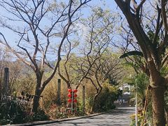 -三亚太阳湾柏悦酒店