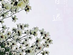 -成都市文化公园