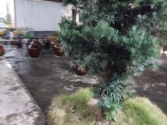 -农家小院土菜馆(斩坑桥店)