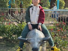 -南京银杏湖乐园