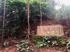 -晓港公园