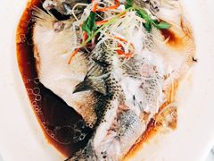 清蒸鲈鱼-双井轩(双井店)