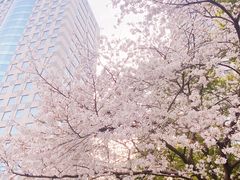 -玛格萝妮比萨屋(四平店)