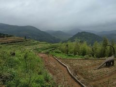 景点-泽雅景区