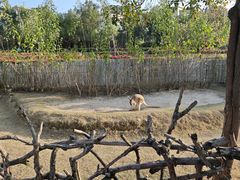 -泉州海丝野生动物世界