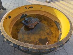 -青岛崂山太清宫