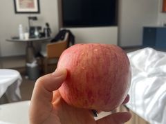 -北京东三环希尔顿逸林酒店