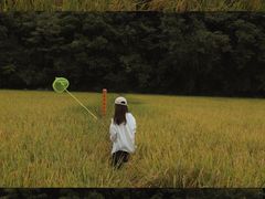 -贵阳市花溪国家城市湿地公园