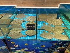 -百味饺子城•海鲜家常菜(秦皇岛店)