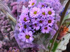 -大润发(梅兰东路店)