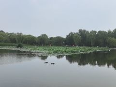 -太阳宫公园