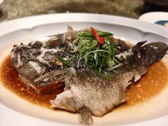 -粤珍轩·家宴·广式茶点(新城广场店)