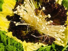 -井格重庆火锅(新世纪店)