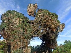 -奥兰多迪士尼动物王国乐园