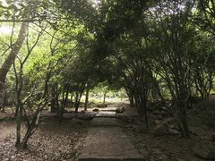 -虞山风景区