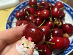 -沈阳市八家子水果批发市场