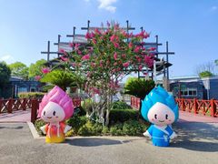 -荷塘月色湿地公园·向阳花洲