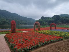 -广州市石门国家森林公园