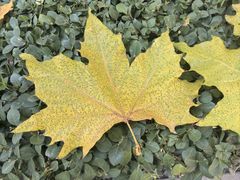 -沐春秋茶书院·茶室.茶馆.商务包房(知春路店)