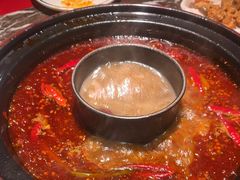 -蜀辣居鲜货老火锅(双流万达店)