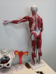 -芊尔美依产后修复中心(朝阳大悦城店)