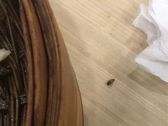 -鸡鸣汤包(仙林店)