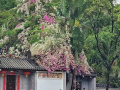 -深圳国际园林花卉博览园