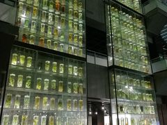 -广东中医药博物馆