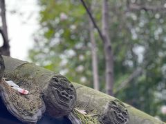 -成都武侯祠博物馆