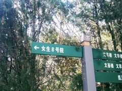 -丽江文化旅游学院