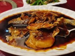 -东航云逸酒店·宴会厅