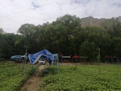 -黄河三峡风景名胜区